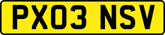PX03NSV