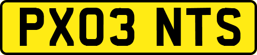 PX03NTS