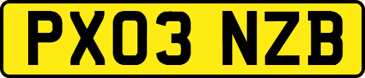 PX03NZB
