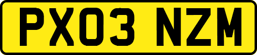 PX03NZM