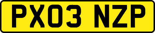 PX03NZP