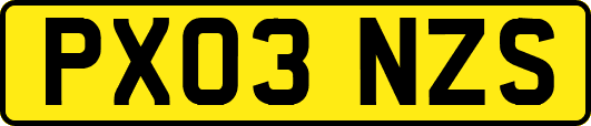 PX03NZS