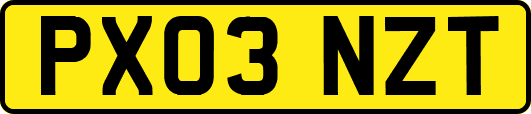PX03NZT