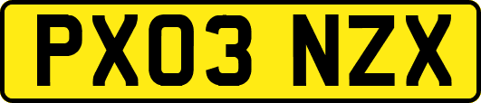 PX03NZX