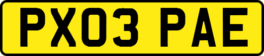PX03PAE