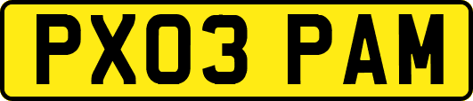 PX03PAM