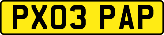 PX03PAP
