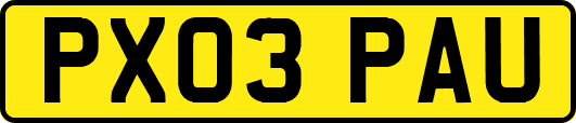 PX03PAU