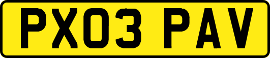 PX03PAV