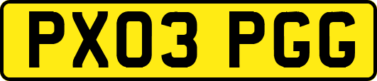 PX03PGG