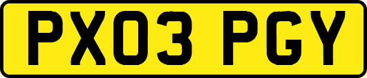 PX03PGY