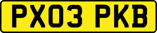 PX03PKB