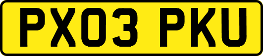PX03PKU