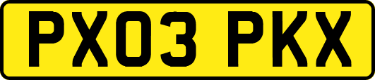 PX03PKX
