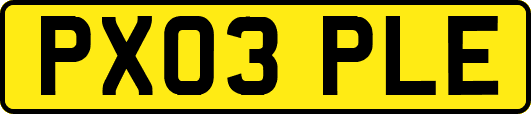 PX03PLE