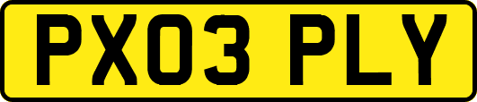 PX03PLY