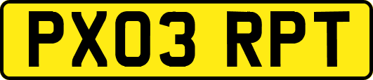 PX03RPT