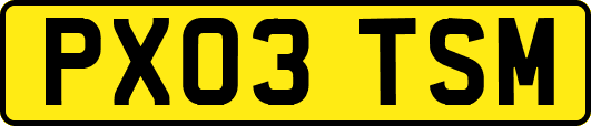 PX03TSM