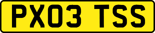 PX03TSS