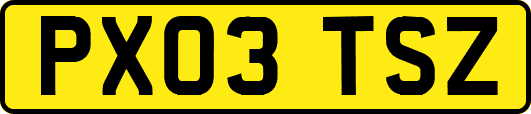 PX03TSZ