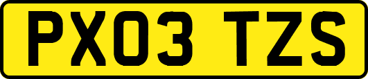 PX03TZS