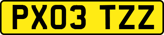 PX03TZZ