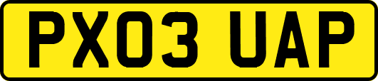 PX03UAP