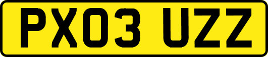PX03UZZ