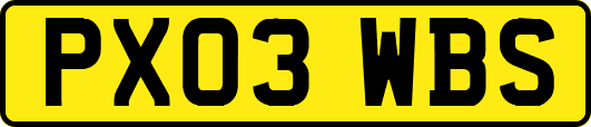 PX03WBS