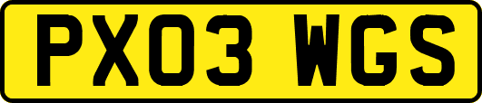 PX03WGS