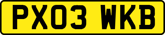 PX03WKB