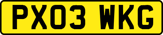 PX03WKG