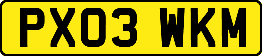 PX03WKM