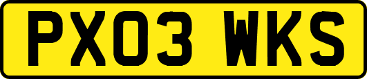 PX03WKS