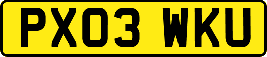PX03WKU