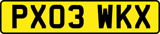 PX03WKX