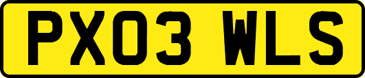 PX03WLS
