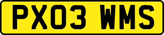 PX03WMS
