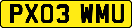 PX03WMU
