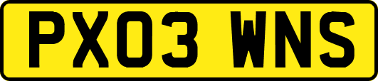 PX03WNS