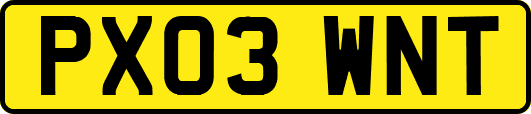 PX03WNT