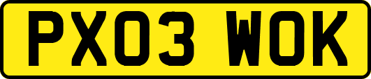 PX03WOK