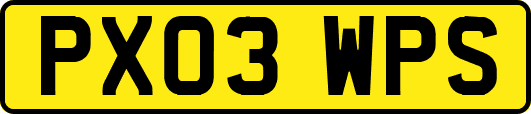 PX03WPS