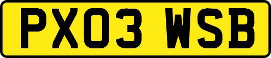 PX03WSB