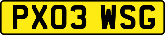PX03WSG