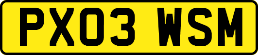 PX03WSM