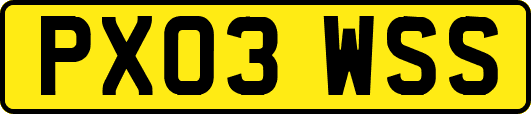 PX03WSS
