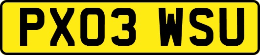 PX03WSU