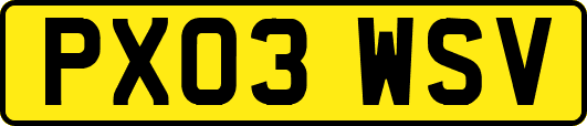 PX03WSV