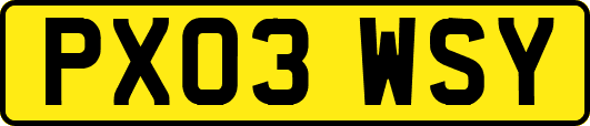PX03WSY